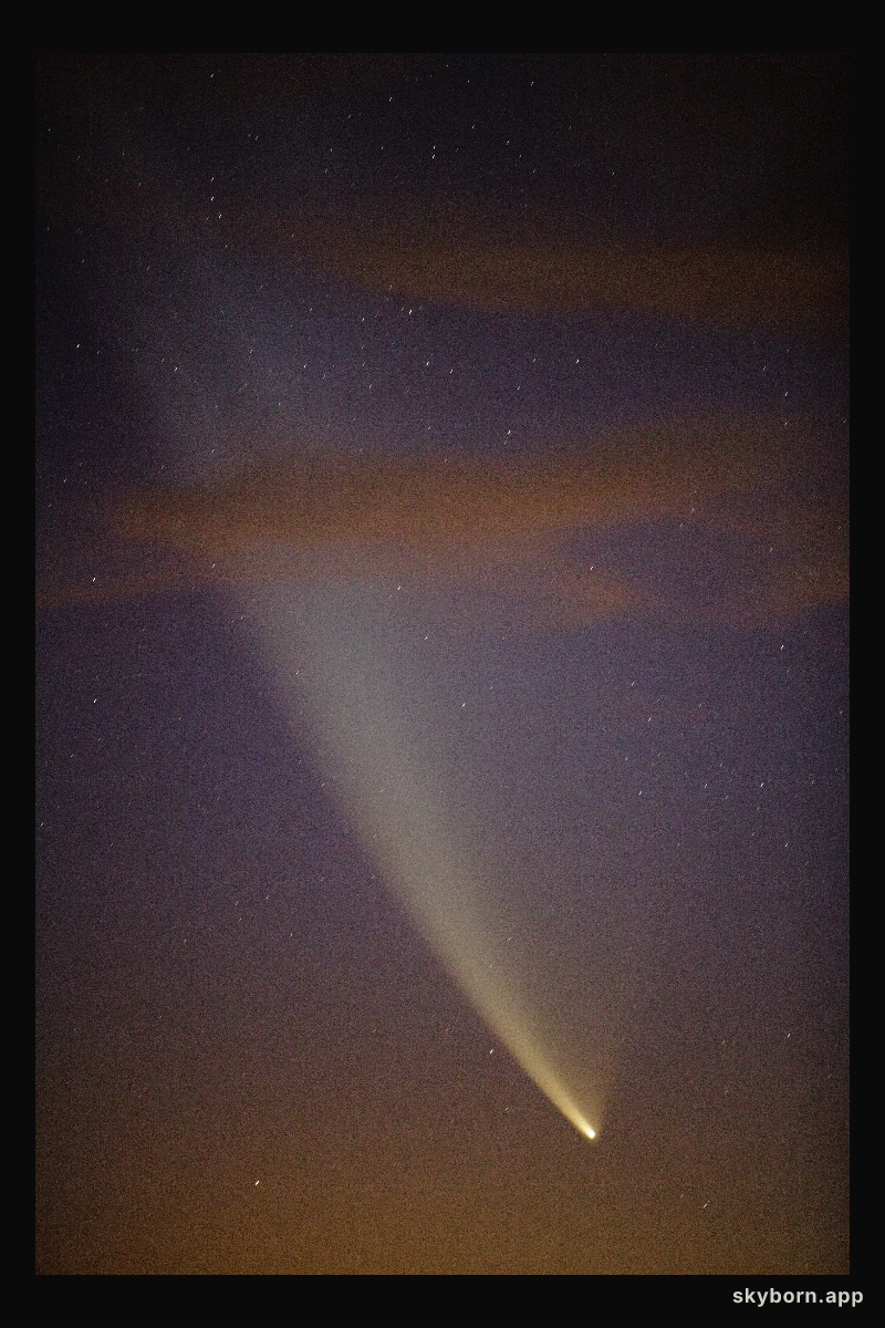 Comet McNaught seen from the ALMA site