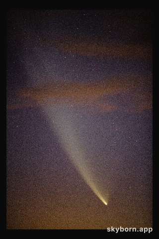 Comet McNaught seen from the ALMA site