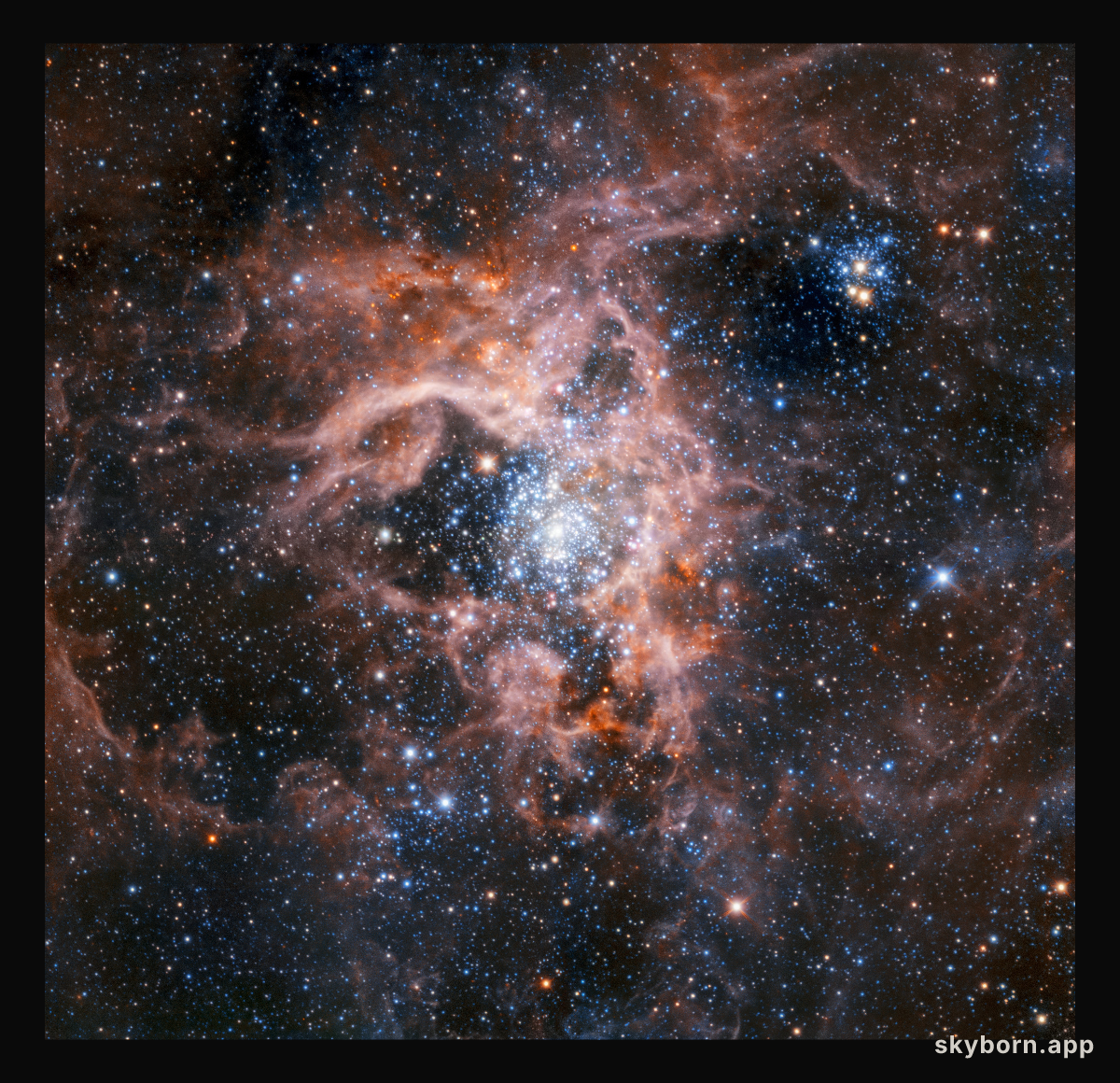The Tarantula Nebula region imaged with HAWK-I with the Adaptive Optics Facility