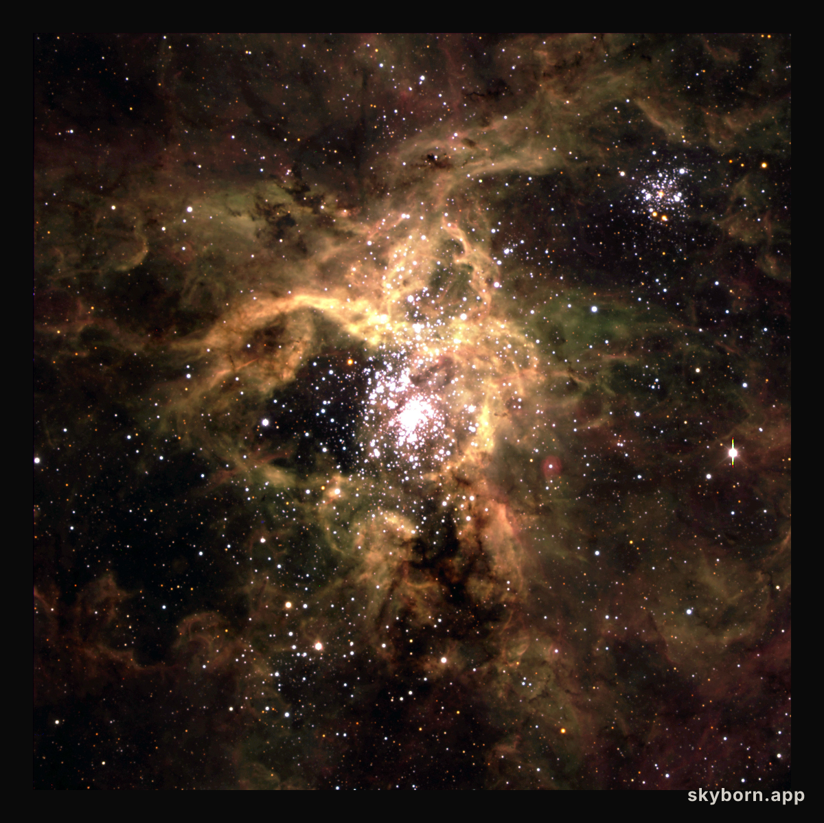 Tarantula Nebula