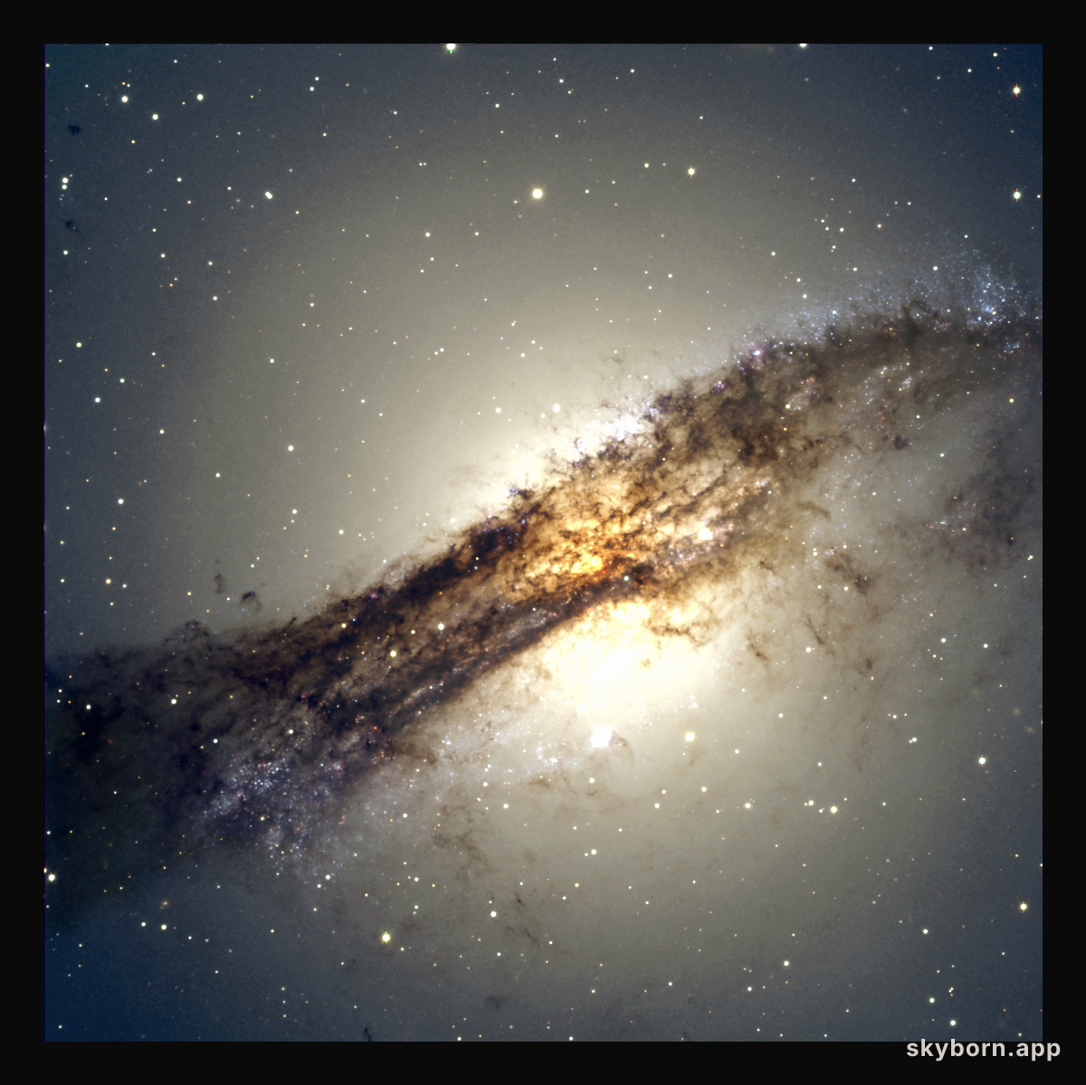 Radio galaxy Centaurus A