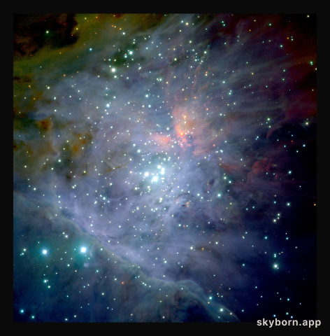 The Orion Nebula*