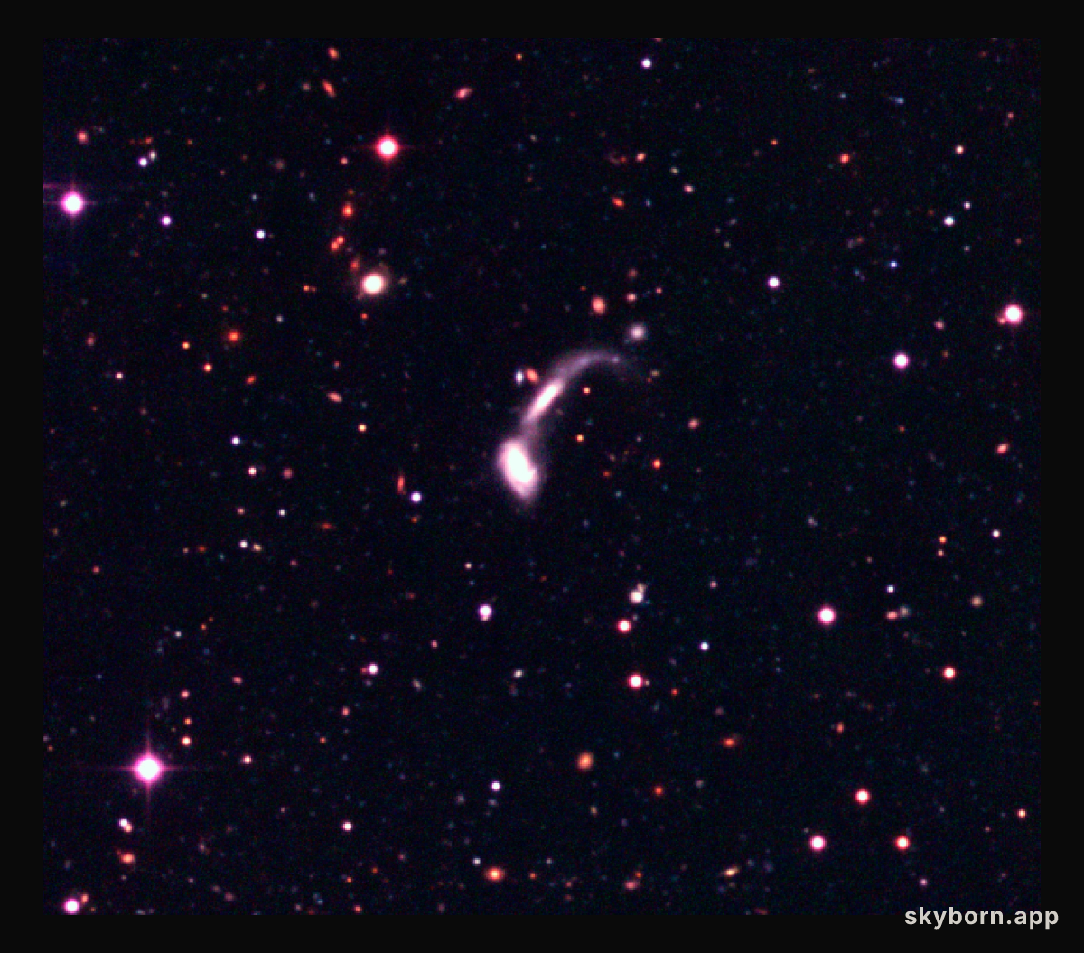 Interacting galaxies in the Capodimonte Deep Field