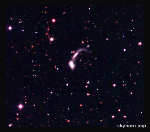 Interacting galaxies in the Capodimonte Deep Field