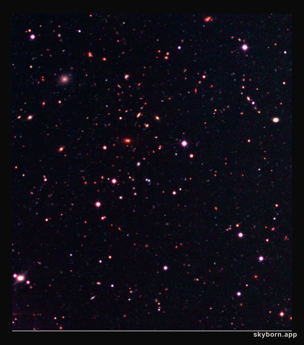 Galaxy cluster in the Capodimonte Deep Field