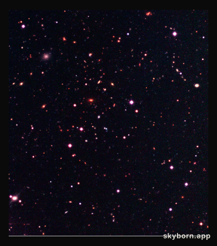 Galaxy cluster in the Capodimonte Deep Field