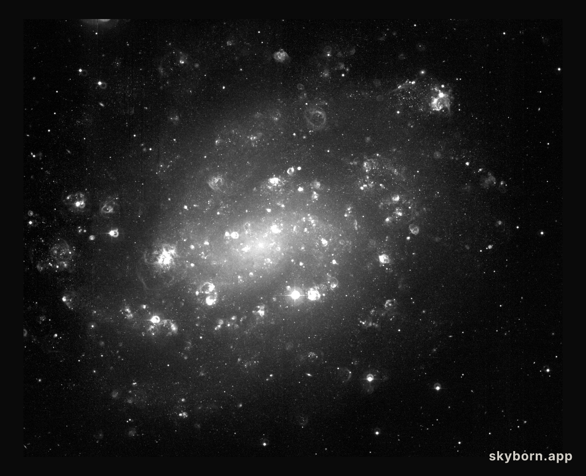Spiral galaxy NGC 300 (H-alpha band)