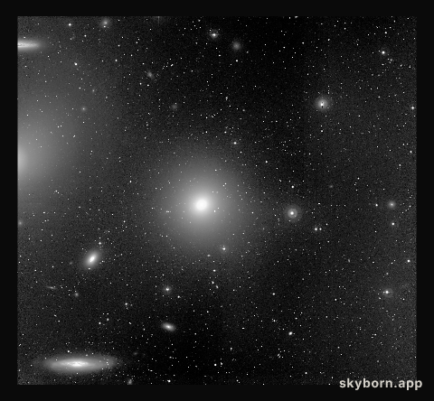 Bright galaxies in the Virgo cluster