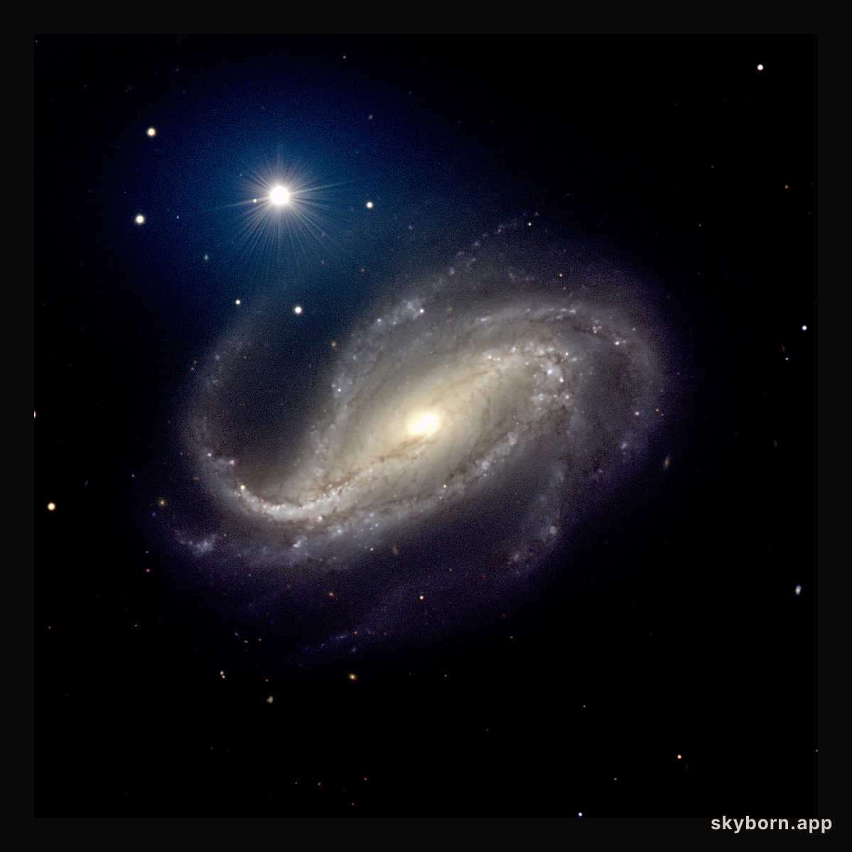 NGC 613