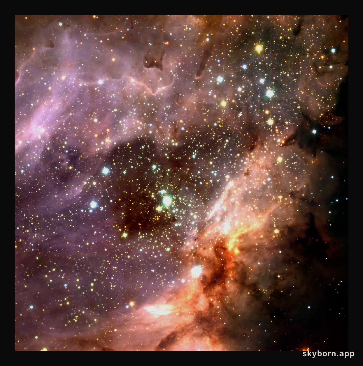 Stellar cluster and star-forming region M 17