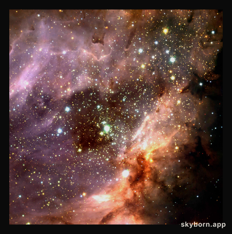 Stellar cluster and star-forming region M 17