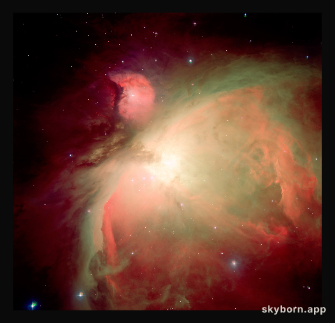The Orion Nebula (M42)