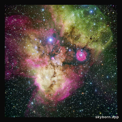 NGC 2467 and surroundings*