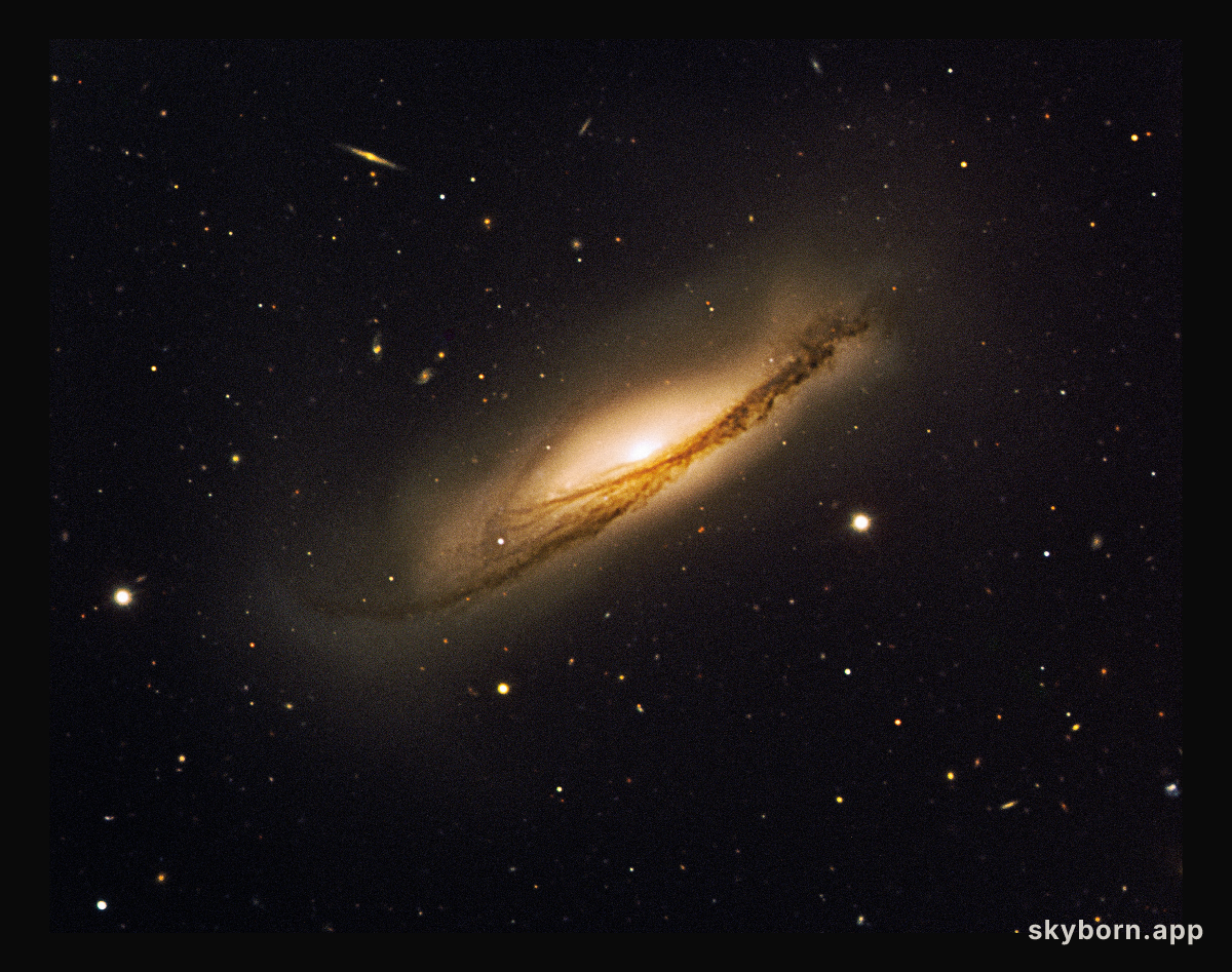 Twin explosions in gigantic dusty potato crisp