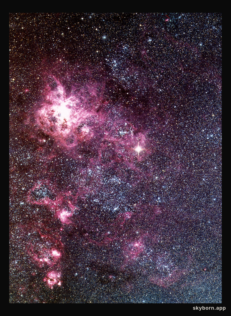 SN1987A in the Large Magellanic Cloud