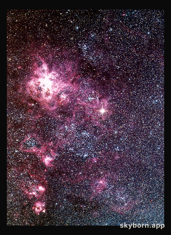 SN1987A in the Large Magellanic Cloud
