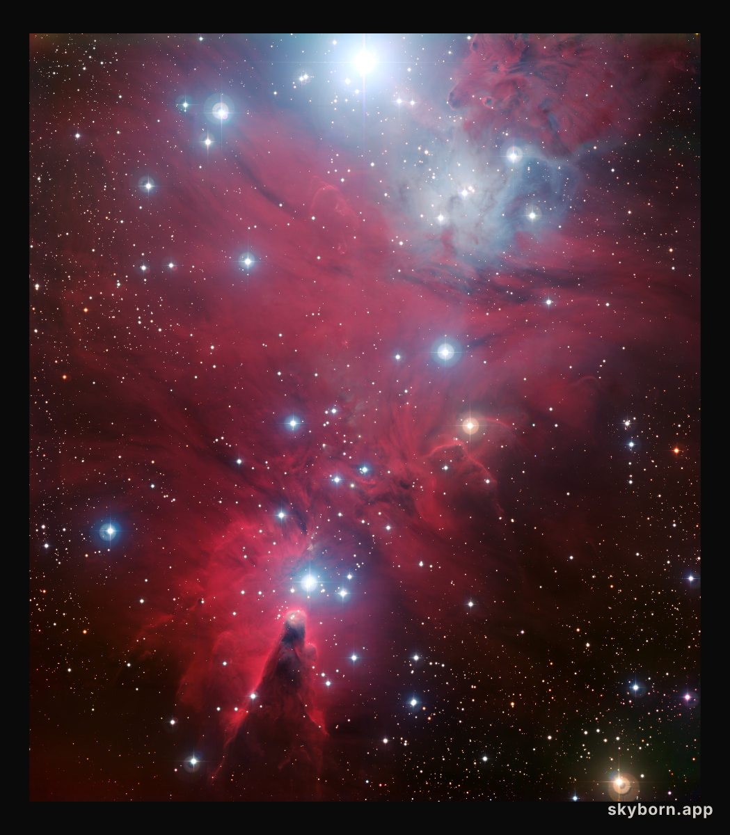 NGC 2264 and the Christmas Tree cluster*