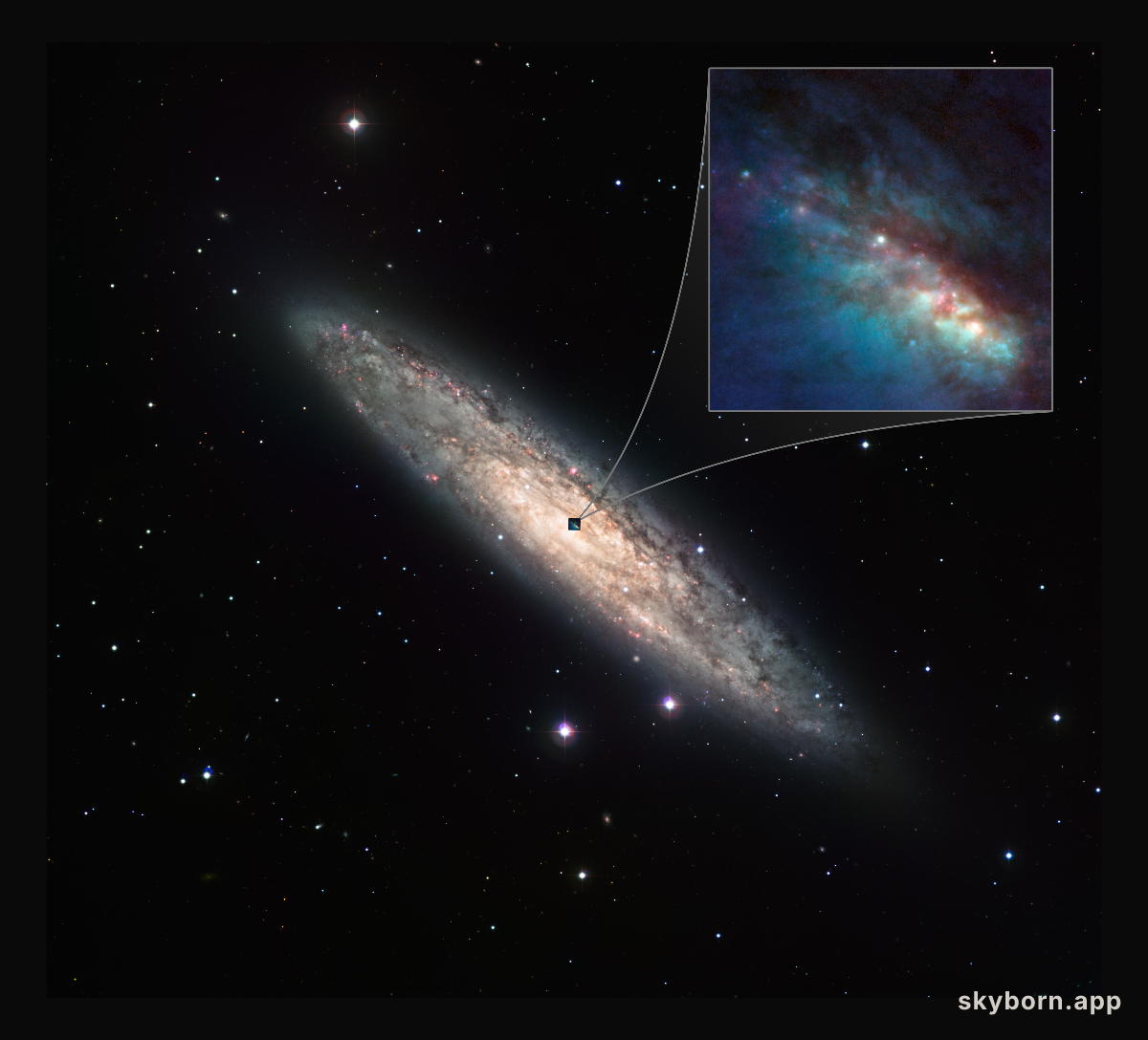 The starburst galaxy NGC 253