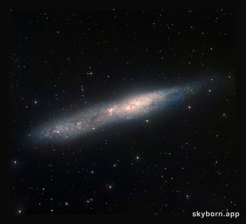 Irregular galaxy NGC 55