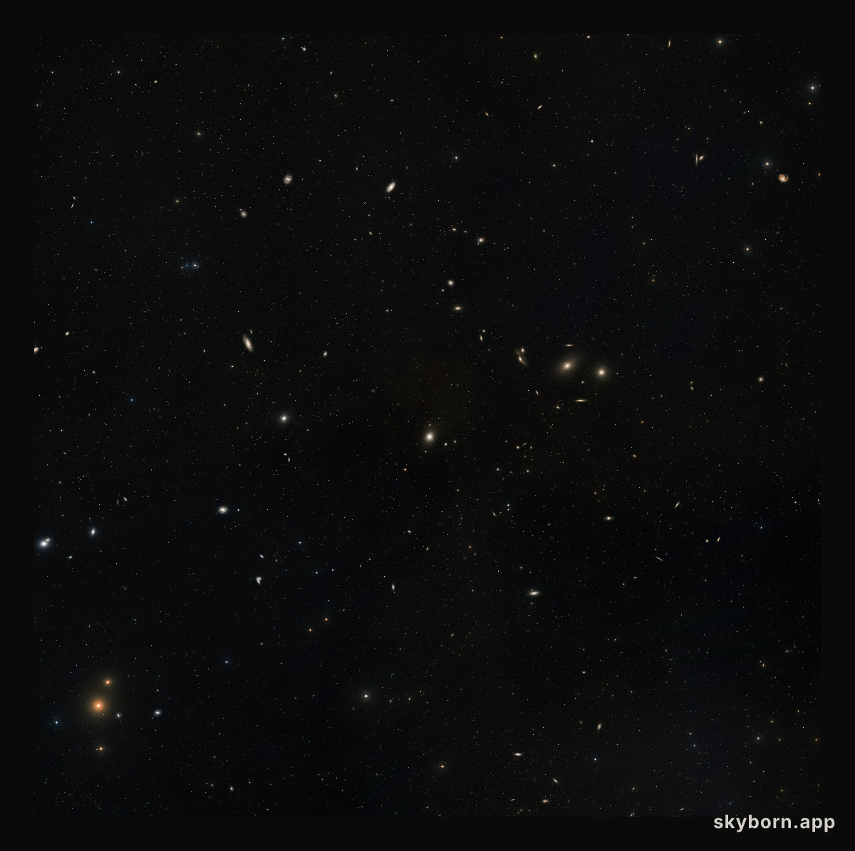 The Virgo Cluster