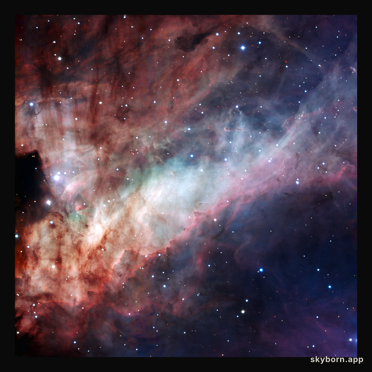 The Omega Nebula