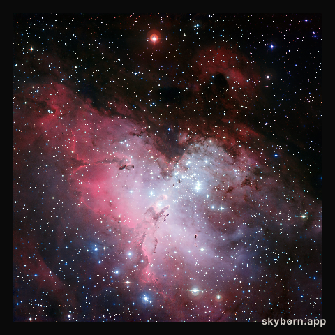 The Eagle Nebula