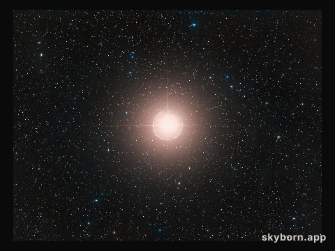 Digitized Sky Survey image of Betelgeuse