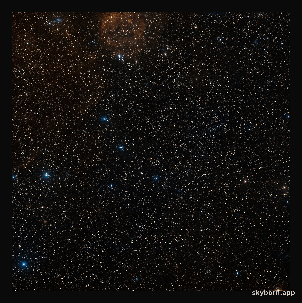 Field around the planet-hosting star CoRoT-7