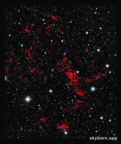 Gigantic structure of galaxies