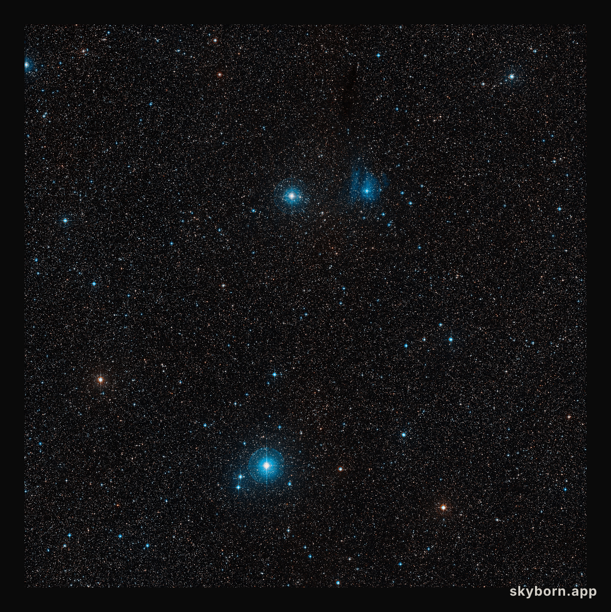 Around the nova V445 Puppis