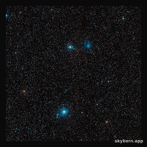 Around the nova V445 Puppis