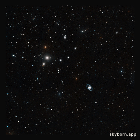 Wide-field view of the Fornax Galaxy Cluster