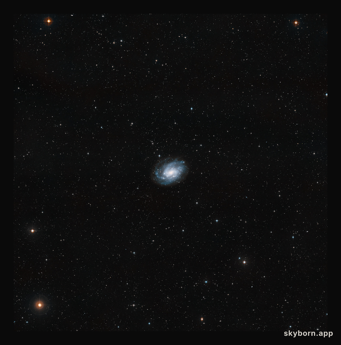 The surroundings of NGC 300