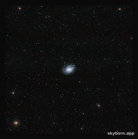 The surroundings of NGC 300