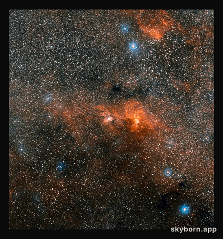 Star formation in the constellation of Carina