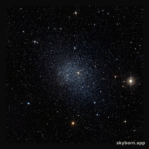 The Fornax dwarf galaxy