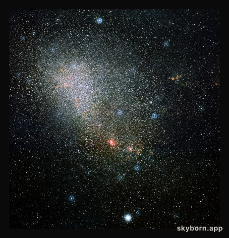 The Small Magellanic Cloud