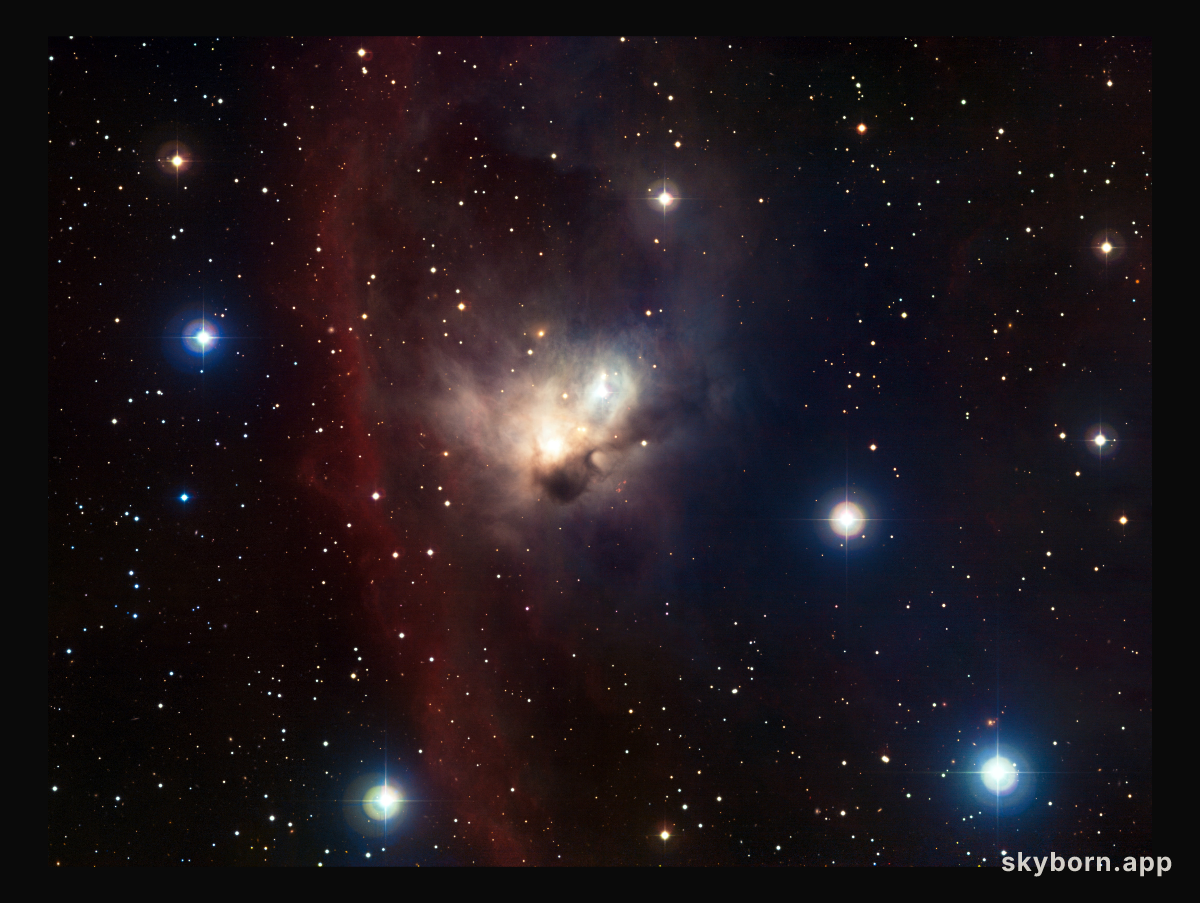 The cosmic bat: NGC 1788