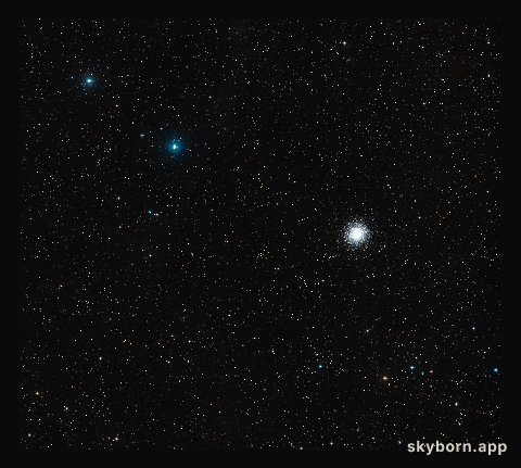 The region around SMM J2135-0102 and the galaxy cluster MACS J2135-010217