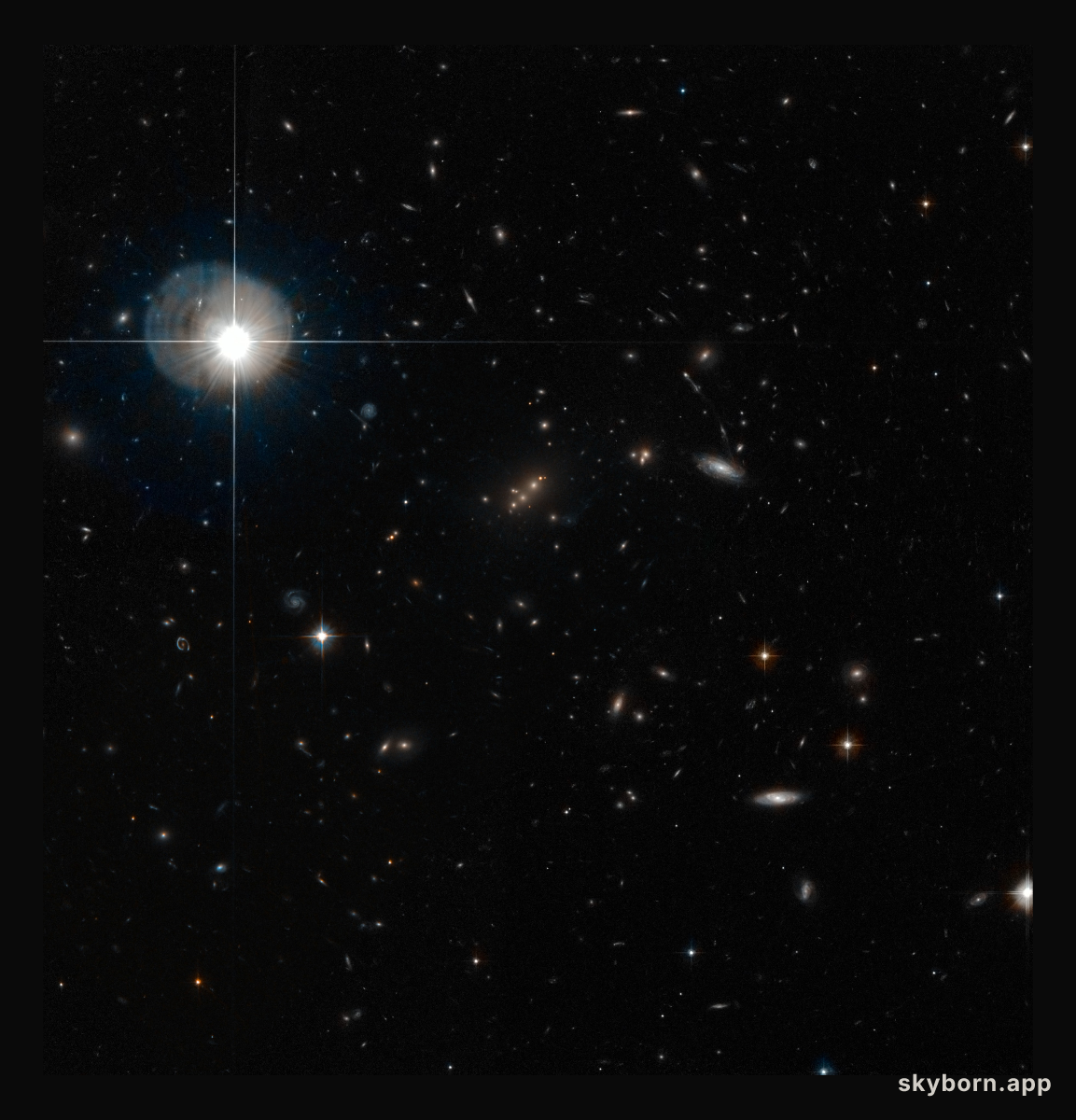 The galaxy cluster MACS J2135-010217 lensing SMM J2135-0102