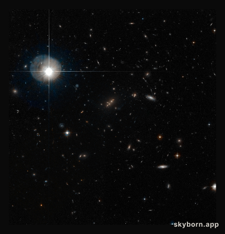 The galaxy cluster MACS J2135-010217 lensing SMM J2135-0102