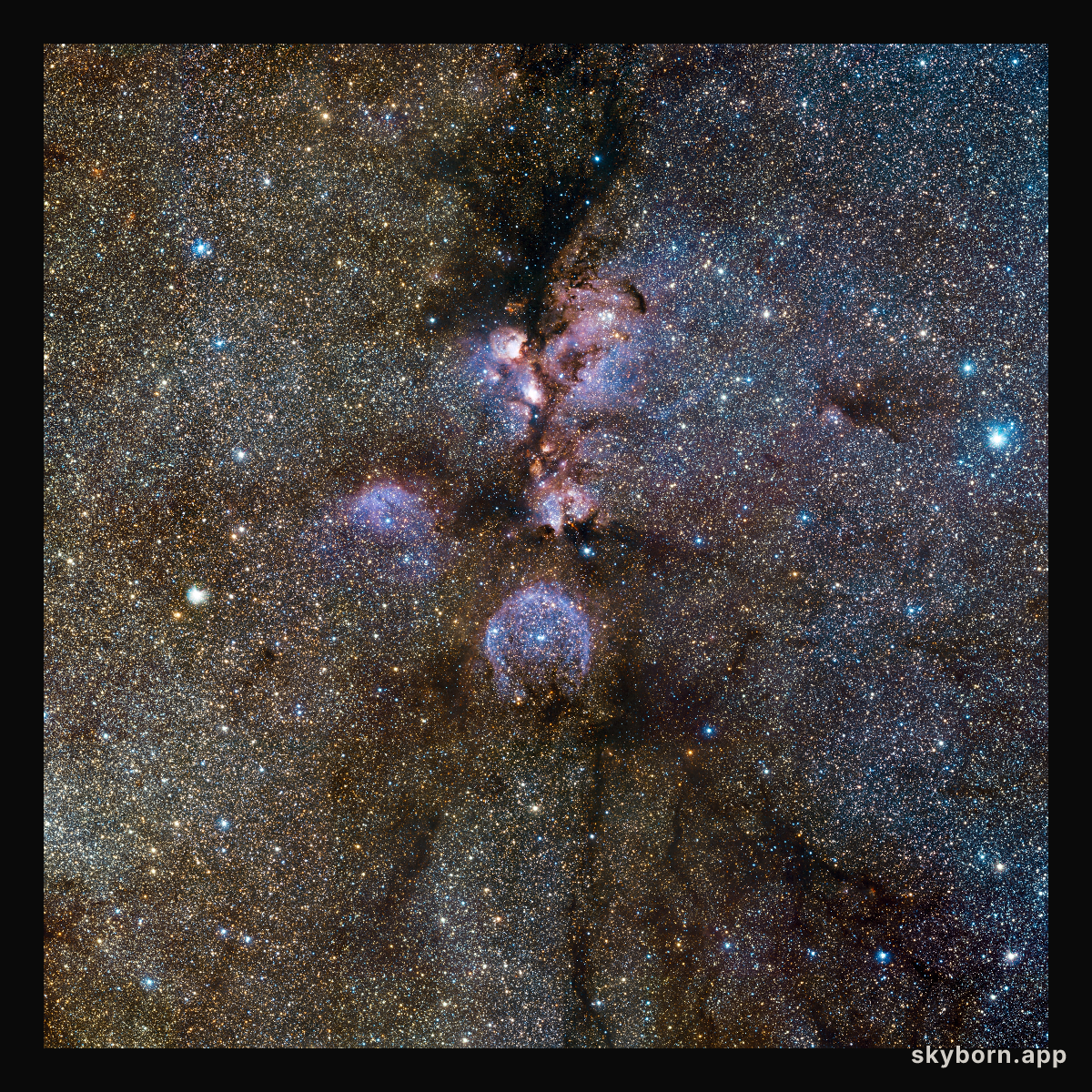 VISTA’s infrared view of the Cat’s Paw Nebula*