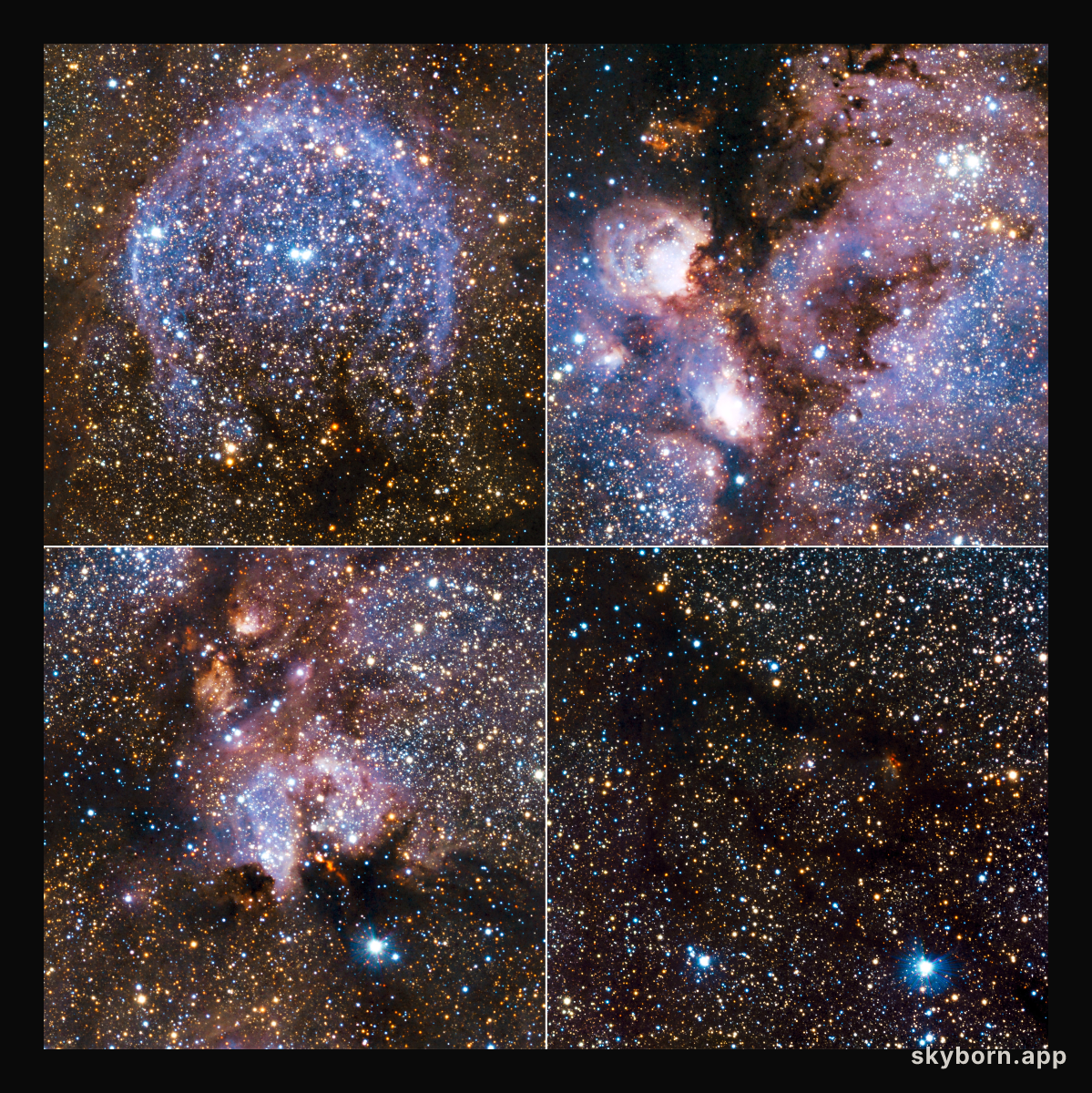 Highlights from VISTA’s infrared view of the Cat’s Paw Nebula