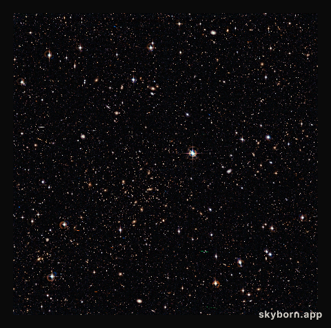 The cluster of galaxies Abell 315
