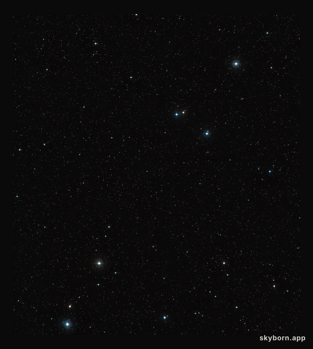 Around Abell 315