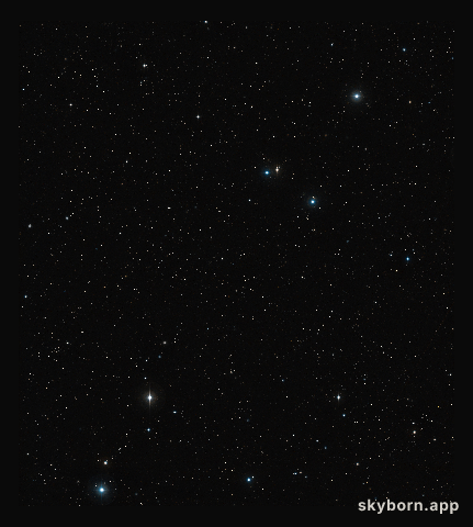 Around Abell 315