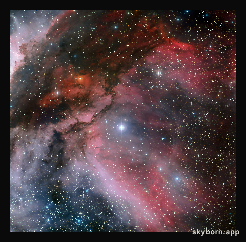 The Carina Nebula around the Wolf: Rayet star WR 22