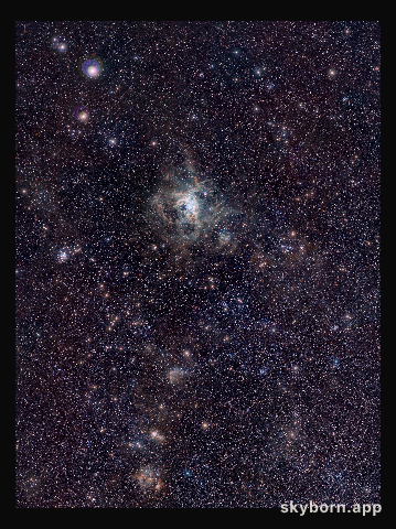 VISTA Magellanic Cloud Survey view of the Tarantula Nebula*