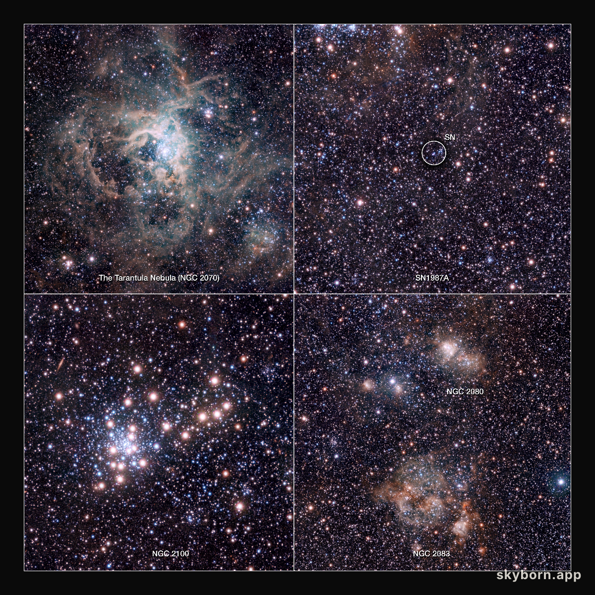 Extracts from the VISTA Magellanic Cloud Survey view of the Tarantula Nebula