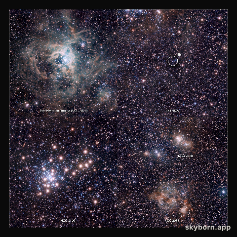 Extracts from the VISTA Magellanic Cloud Survey view of the Tarantula Nebula